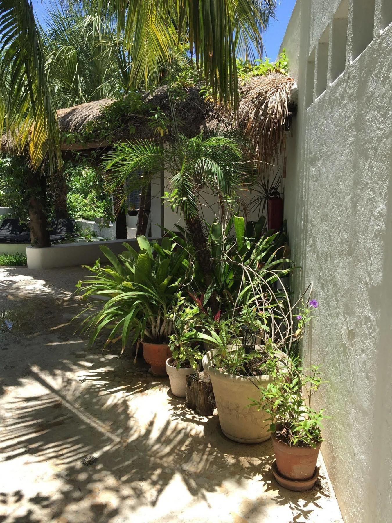 Mi Casa En Cozumel Hotel Exterior photo